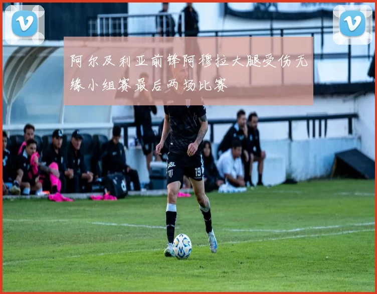 阿尔及利亚前锋阿穆拉大腿受伤无缘小组赛最后两场比赛